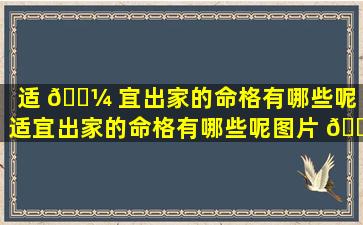 适 🌼 宜出家的命格有哪些呢「适宜出家的命格有哪些呢图片 🐕 」